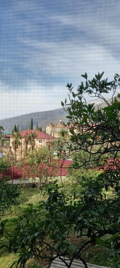У Людмилы Gagra Exterior photo